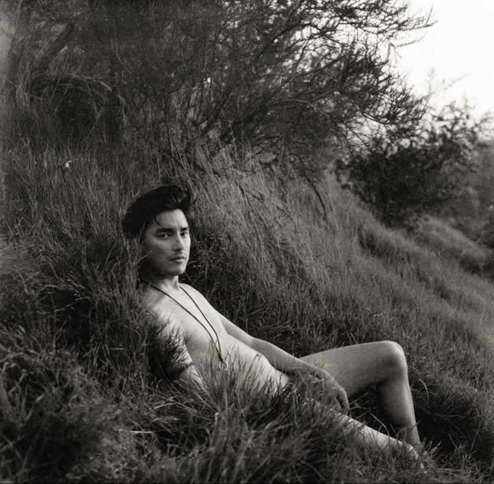 A man reclines in tall grass under a tree.