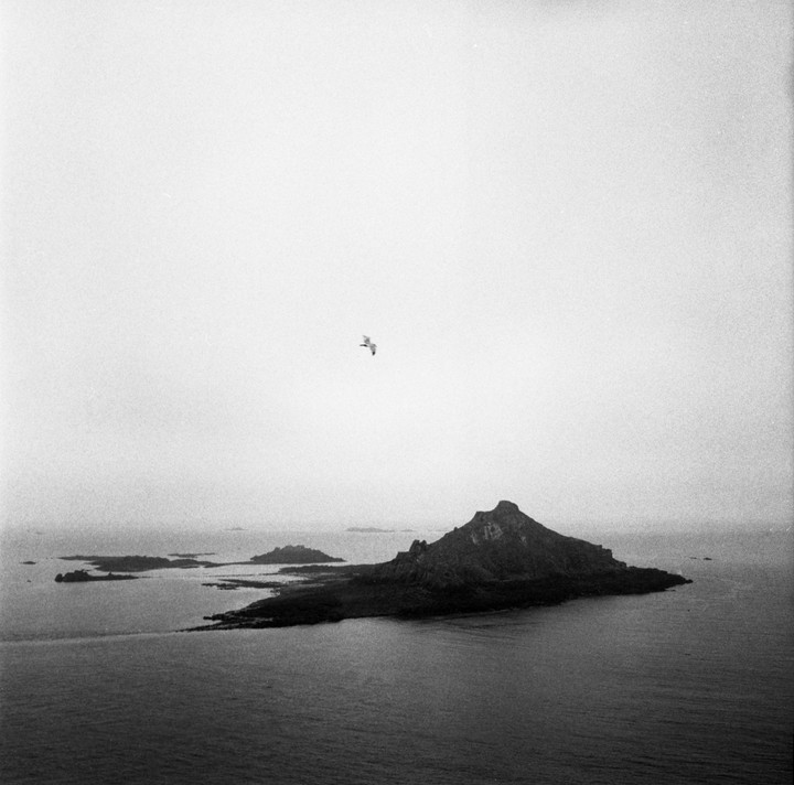 A bird flies over a rocky island surrounded by water under a bright sky.