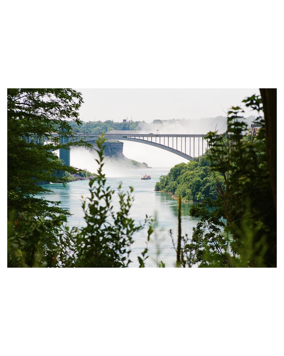 A boat travels on a river with a bridge and mist in the background, framed by green foliage.