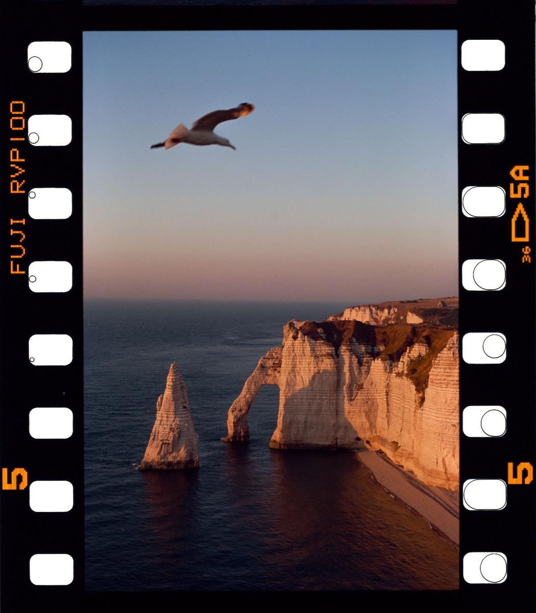 A seagull flies over the ocean with cliffs and a natural arch in the background at sunset.