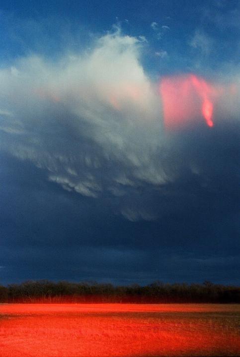 A dark blue sky with clouds and a red glow above a field and trees.