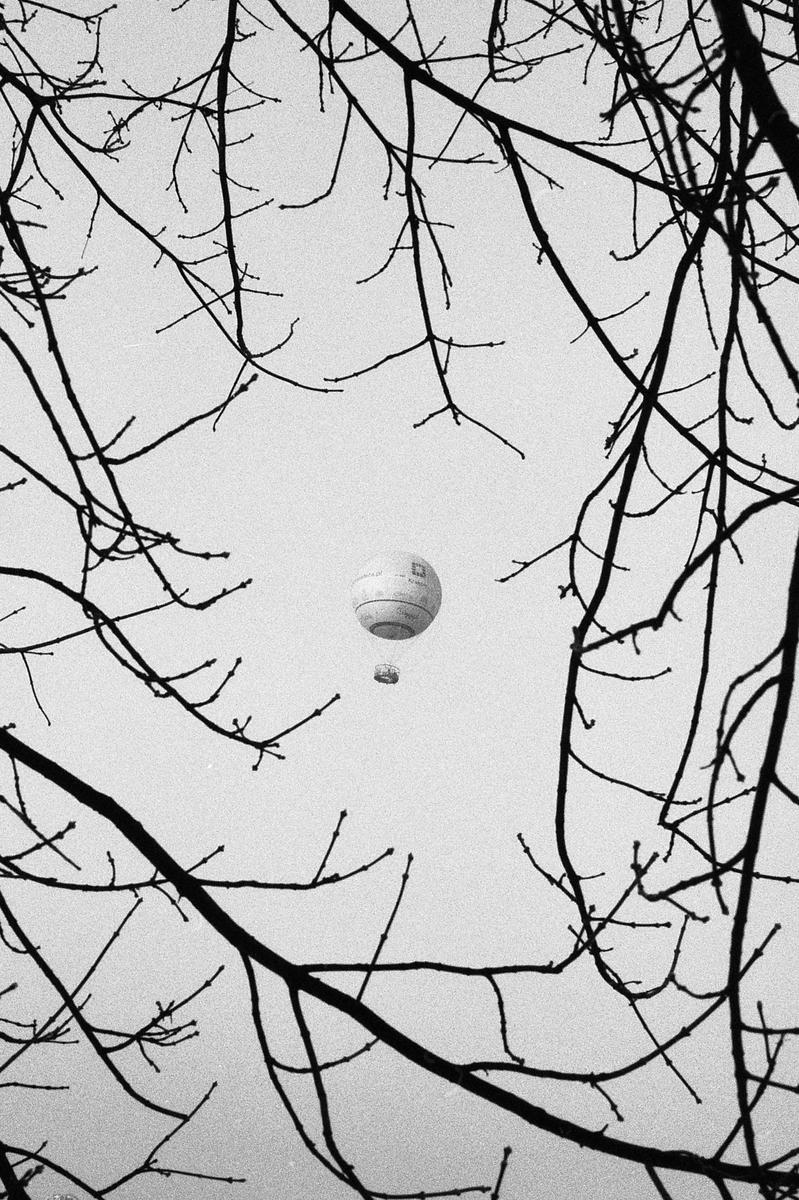 A hot air balloon is visible through a frame of bare tree branches.