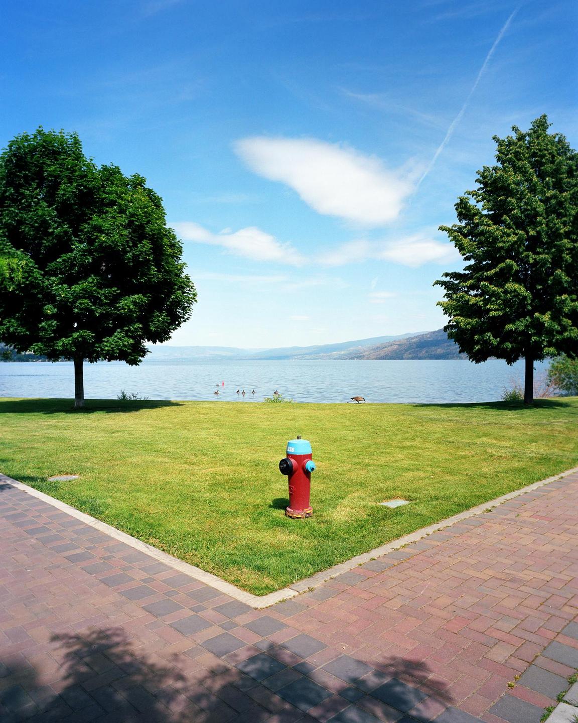 A red fire hydrant stands in a grassy area between two trees, with a lake and mountains in the background.