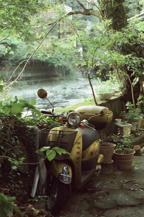 A yellow scooter is parked next to a river, surrounded by lush green foliage and potted plants.