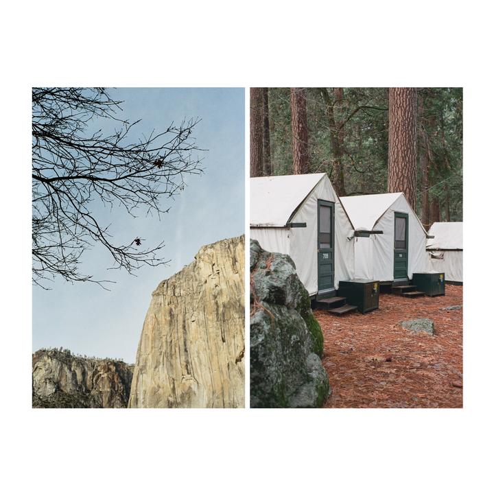 A diptych shows a bare tree branch and a cliff face on the left, and several white tents in a forest on the right.