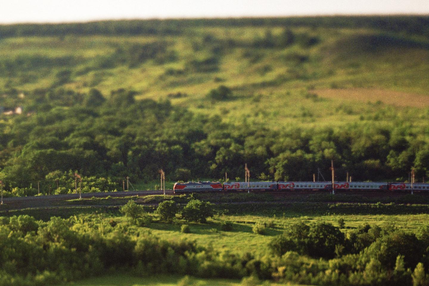 A train travels through a lush green landscape with trees and fields under a bright sky.