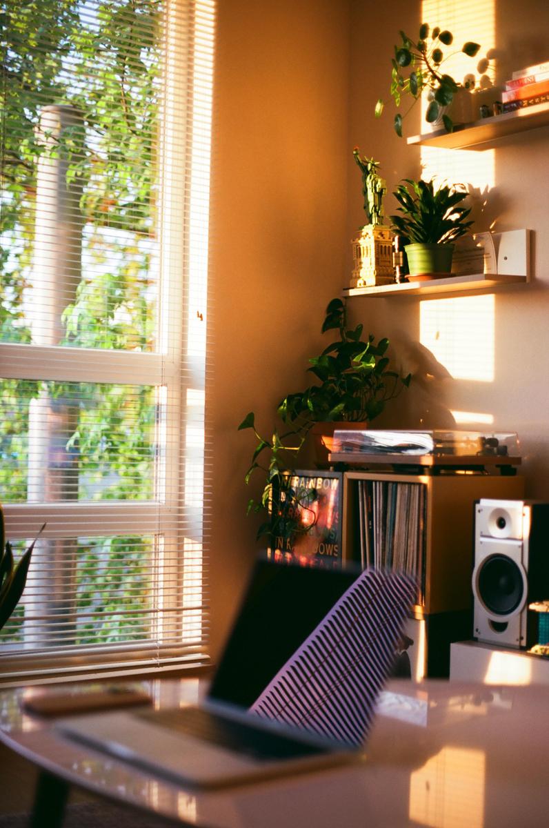 Sunlight streams through a window with blinds, illuminating a room with plants, shelves, a record player, and a laptop.