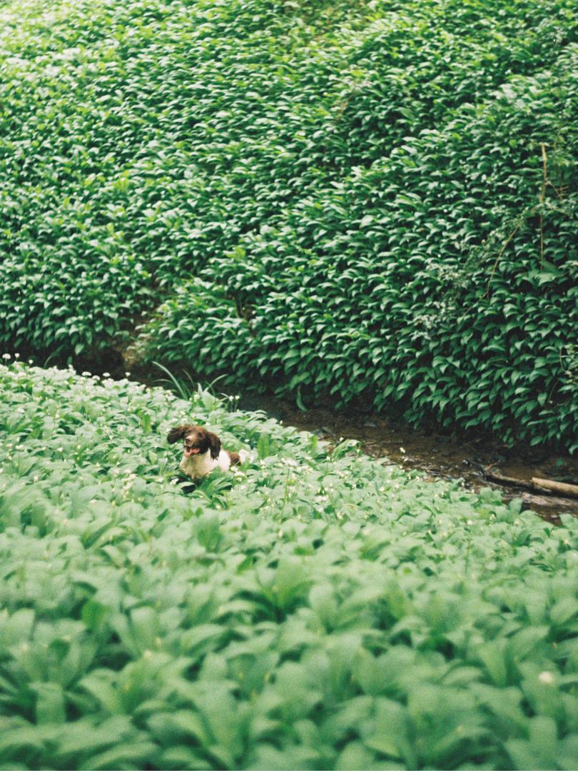 There he is! [Zenit 12 / Gold 200], shot on ZENIT 12