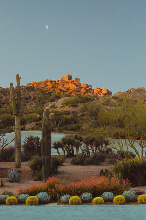A crescent moon hangs in the sky above a desert landscape with saguaro cacti and a rocky mountain.