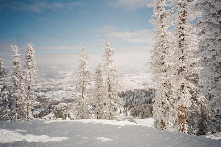 Snow-covered pine trees stand on a mountain slope overlooking a valley filled with more snow and trees under a blue sky.