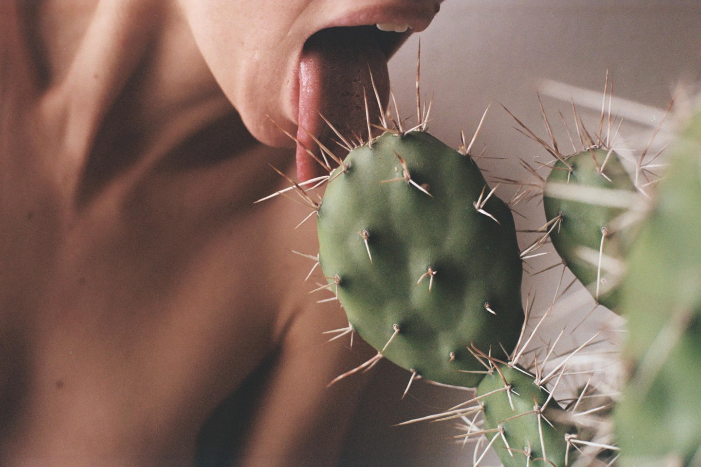 A person's tongue is extended towards a prickly pear cactus.