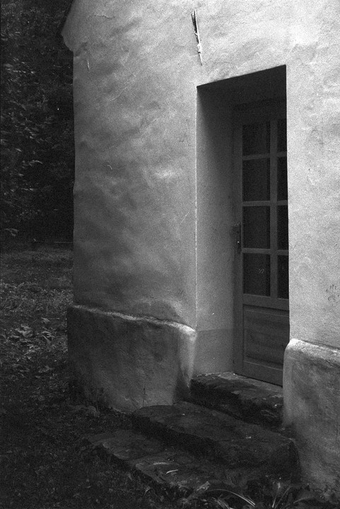 A weathered building with a glass-paned door and stone steps is surrounded by dark foliage.