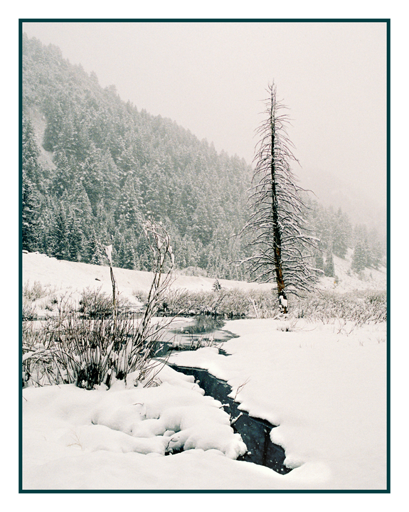 A snow-covered landscape features a stream flowing through a valley with a bare tree and a forest in the background.