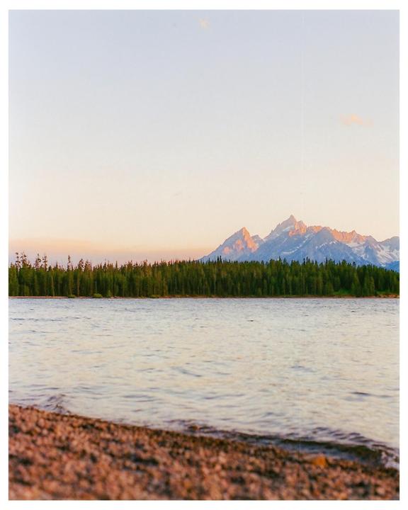 A lake with a rocky shore is in the foreground, with a line of evergreen trees and snow-capped mountains in the distance under a pale sky.