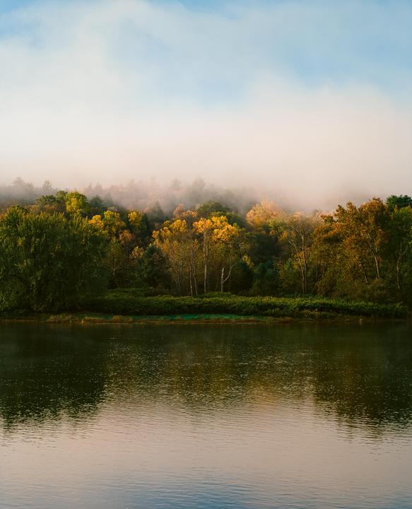 A misty forest with autumn foliage is reflected in a body of water under a blue sky.