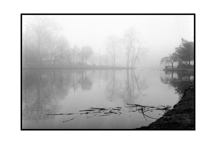 A body of water reflects trees and a hazy sky on a foggy day.