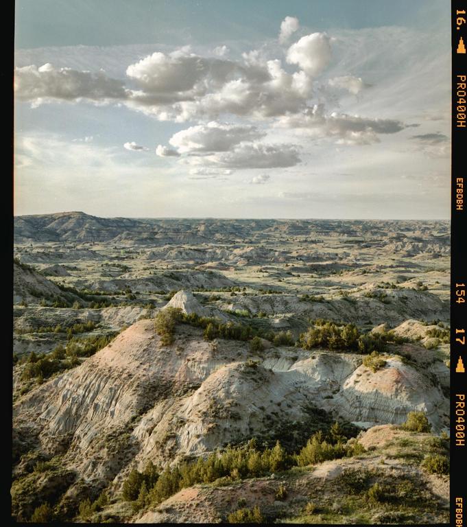 A vast landscape of rolling hills and valleys with scattered trees under a cloudy sky.