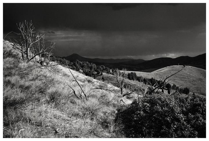 A black and white landscape shows a hillside with sparse trees and bushes under a dark, cloudy sky.