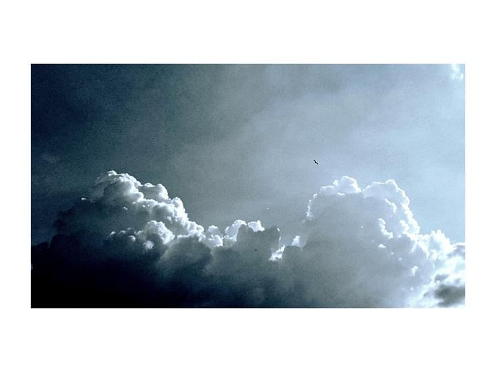 A bird flies high above a large, bright cloud formation against a dark sky.