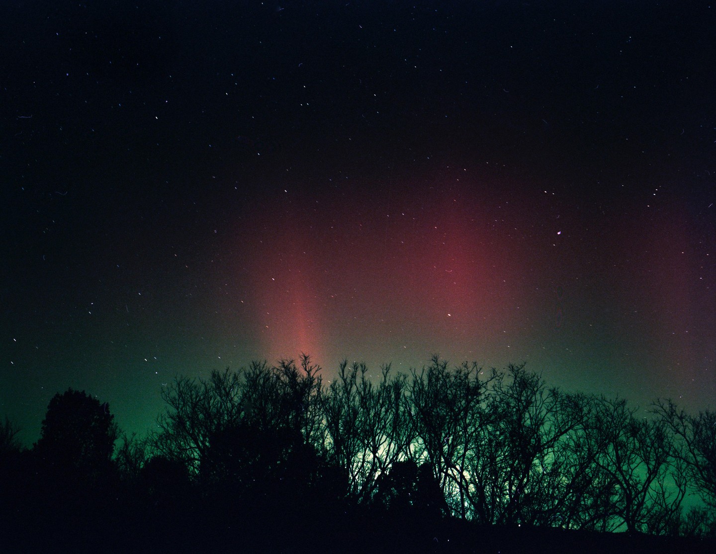 The northern lights glow red and green above a dark tree line under a starry night sky.