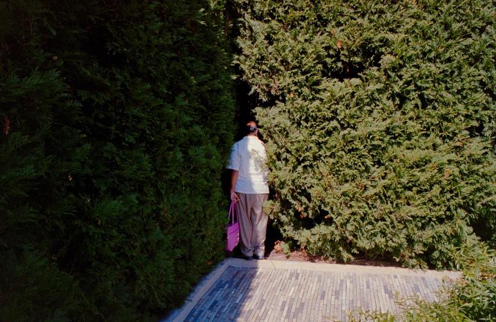 A person holding a purple bag stands between two tall green hedges on a paved path.