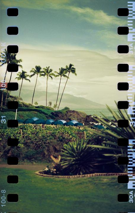 Palm trees stand tall over a rocky coastline with blue umbrellas and mountains in the distance.