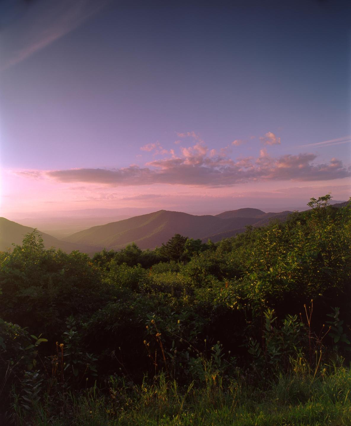 A landscape view shows rolling mountains and lush green foliage under a sky with pink and purple hues.