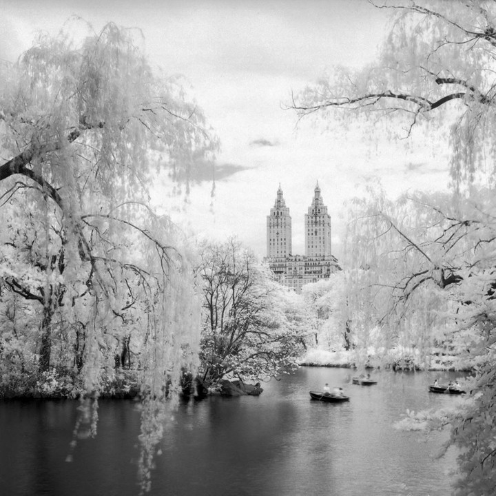 A black and white landscape shows a lake with boats and buildings in the background, framed by trees with white foliage.