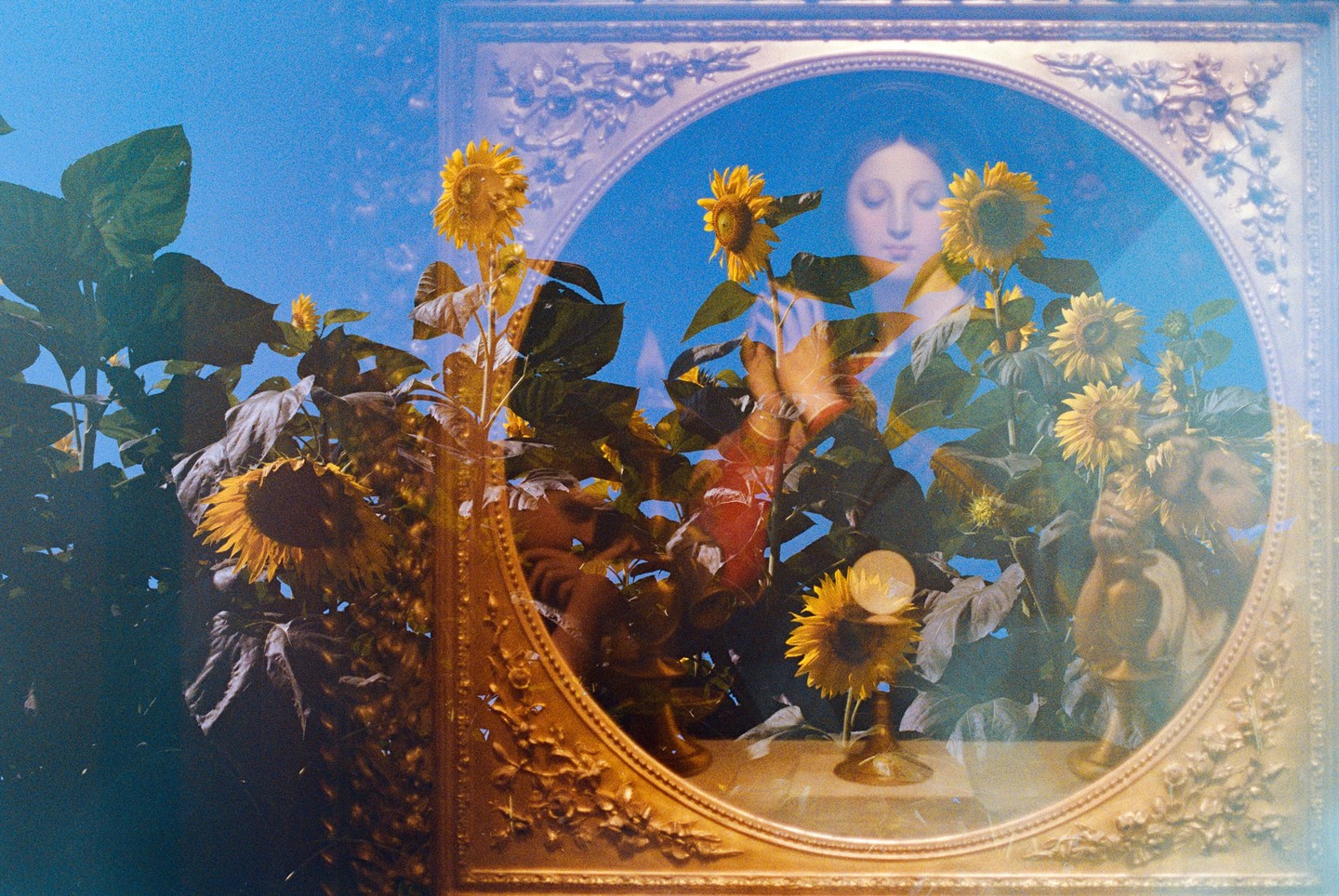 A double exposure shows sunflowers against a blue sky and a woman's face in an ornate mirror.