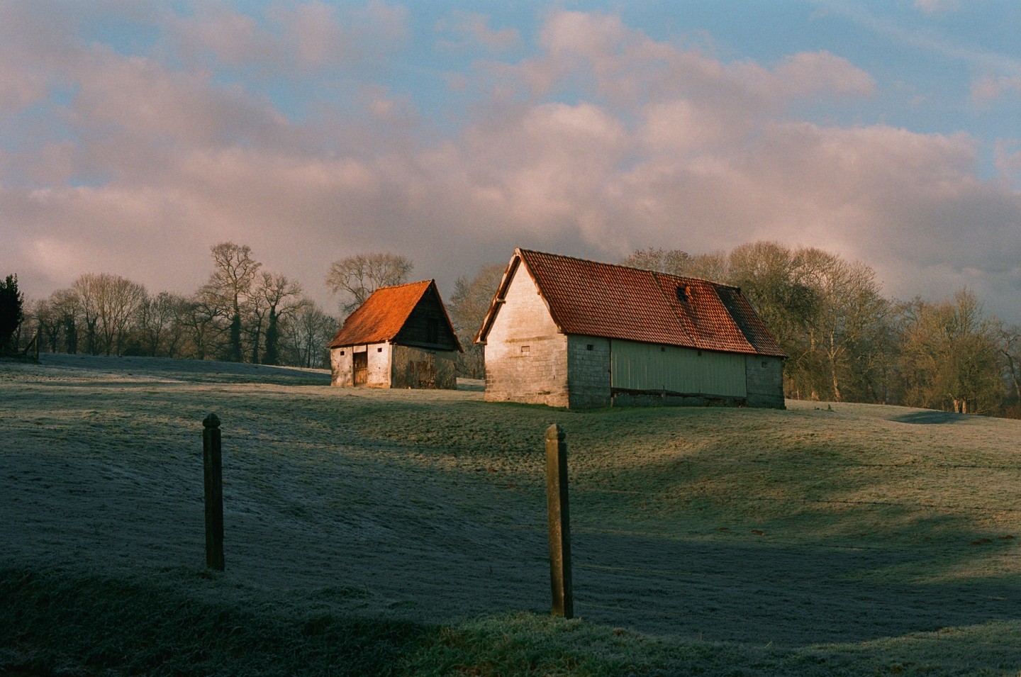 Two barns with red roofs stand in a frosty field under a cloudy sky.