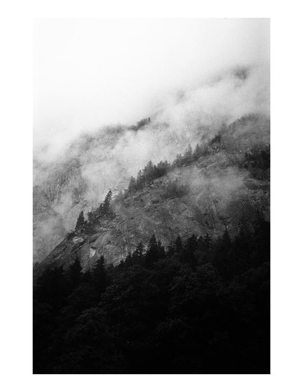 A mountain slope covered in trees is partially obscured by fog.