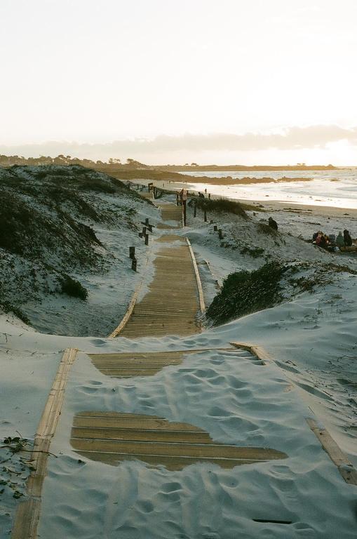 A wooden boardwalk leads down through sand dunes to a beach with people and ocean waves in the distance.