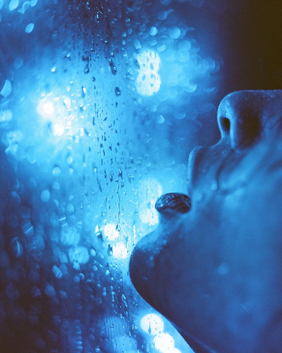 A person's face is visible in profile next to a window covered in raindrops and blue light.