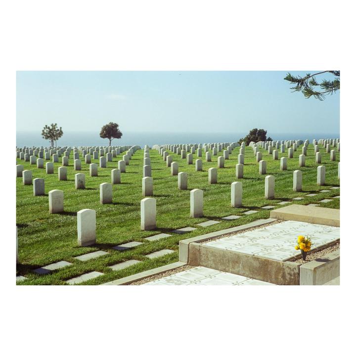A cemetery with rows of white headstones on a grassy hill overlooks the ocean under a clear sky.