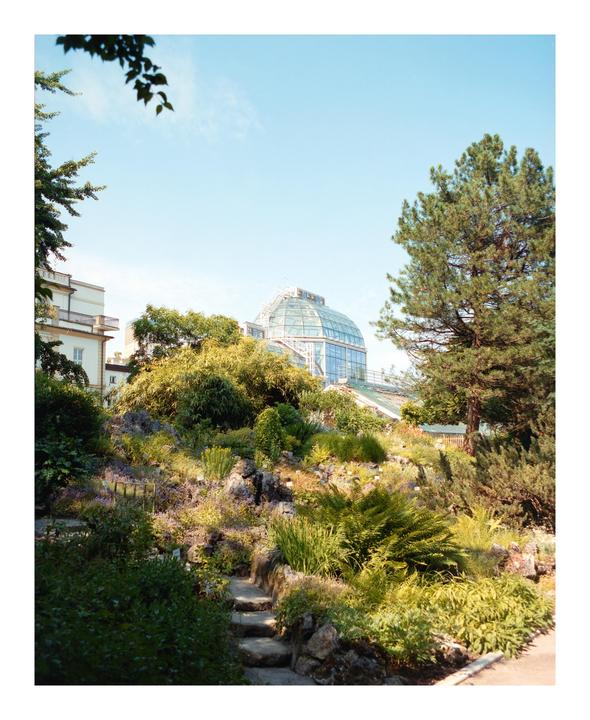 A glass conservatory is visible behind a lush garden with stone steps leading up a hill.