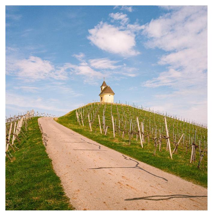 A small chapel sits atop a hill covered in vineyards, with a road leading up to it under a blue sky with clouds.