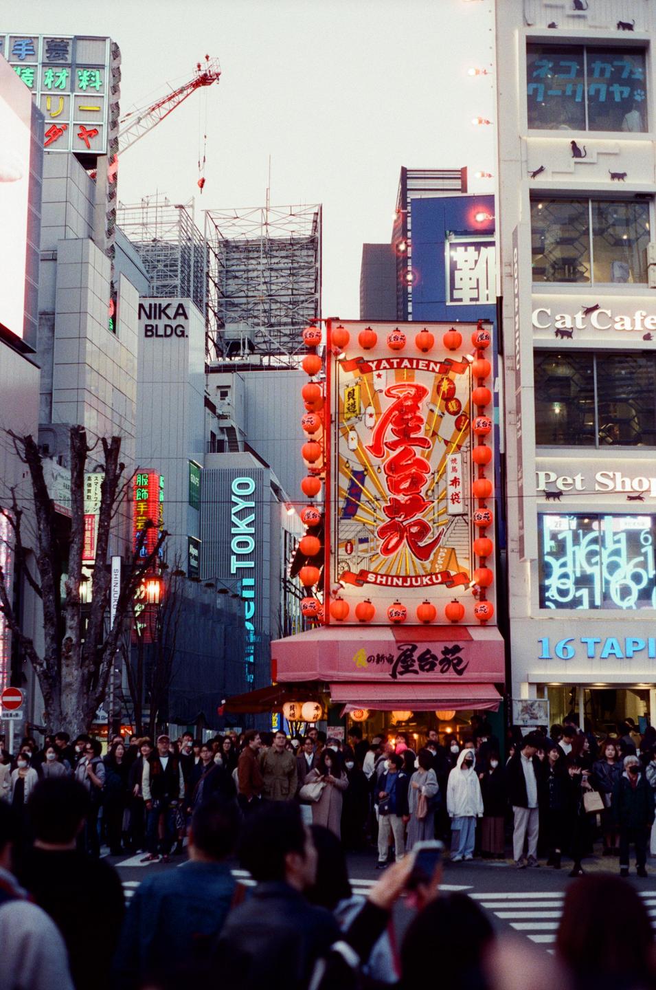 A large crowd of people stands on a street in front of tall buildings with neon signs and a large illuminated sign with red lanterns.
