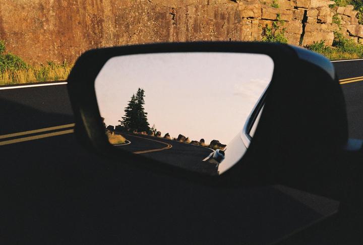 A winding road and a single pine tree are reflected in a car's side mirror.