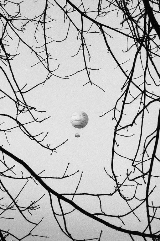 A hot air balloon is visible through a frame of bare tree branches.