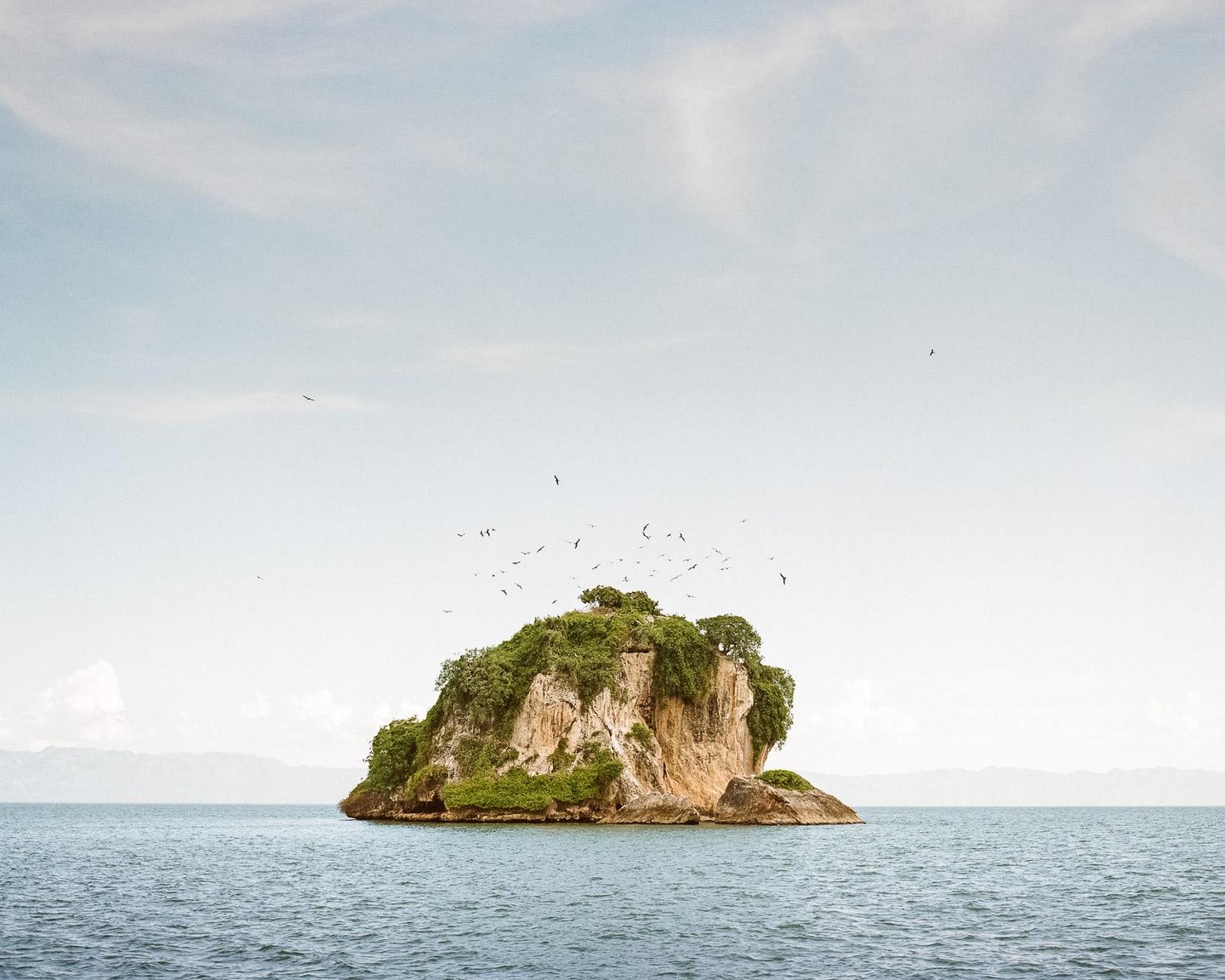 A small, rocky island covered in green vegetation sits in the middle of a body of water under a pale sky, with many birds flying around it.
