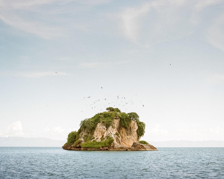 A small, rocky island covered in green vegetation sits in the middle of a body of water under a pale sky, with many birds flying around it.