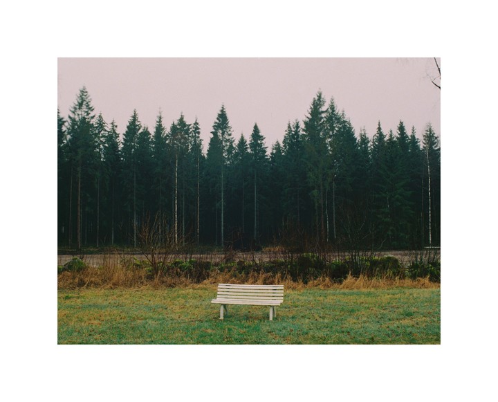A white bench sits in a grassy field in front of a dense forest under an overcast sky.