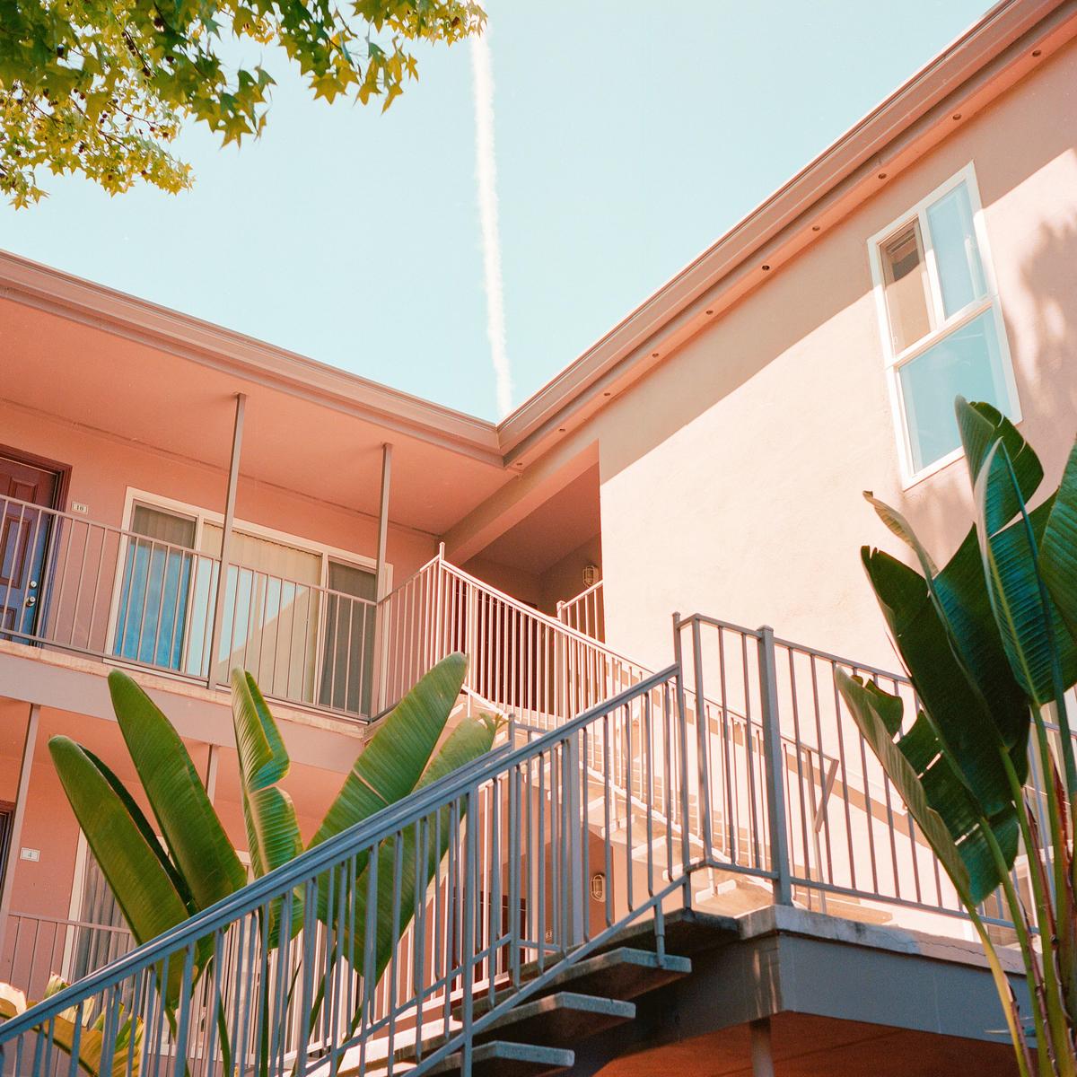 A low-angle view shows the exterior of a building with stairs and balconies, with a tree and large-leafed plants in the foreground.