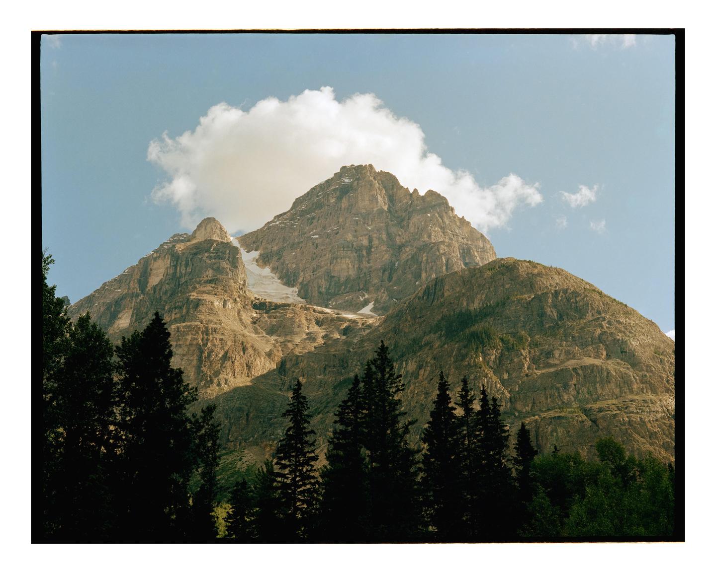 A large mountain with a cloud above its peak rises above a line of evergreen trees.