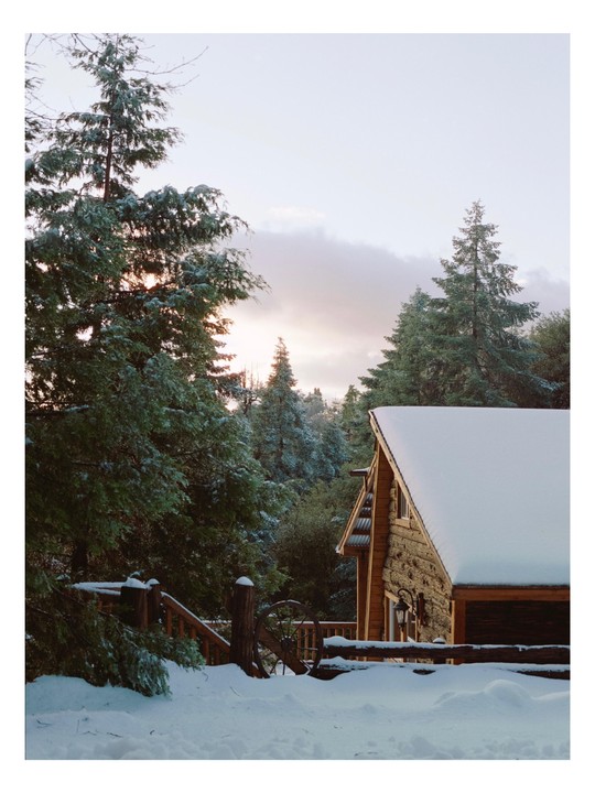 A snow-covered cabin is nestled among pine trees under a cloudy sky.