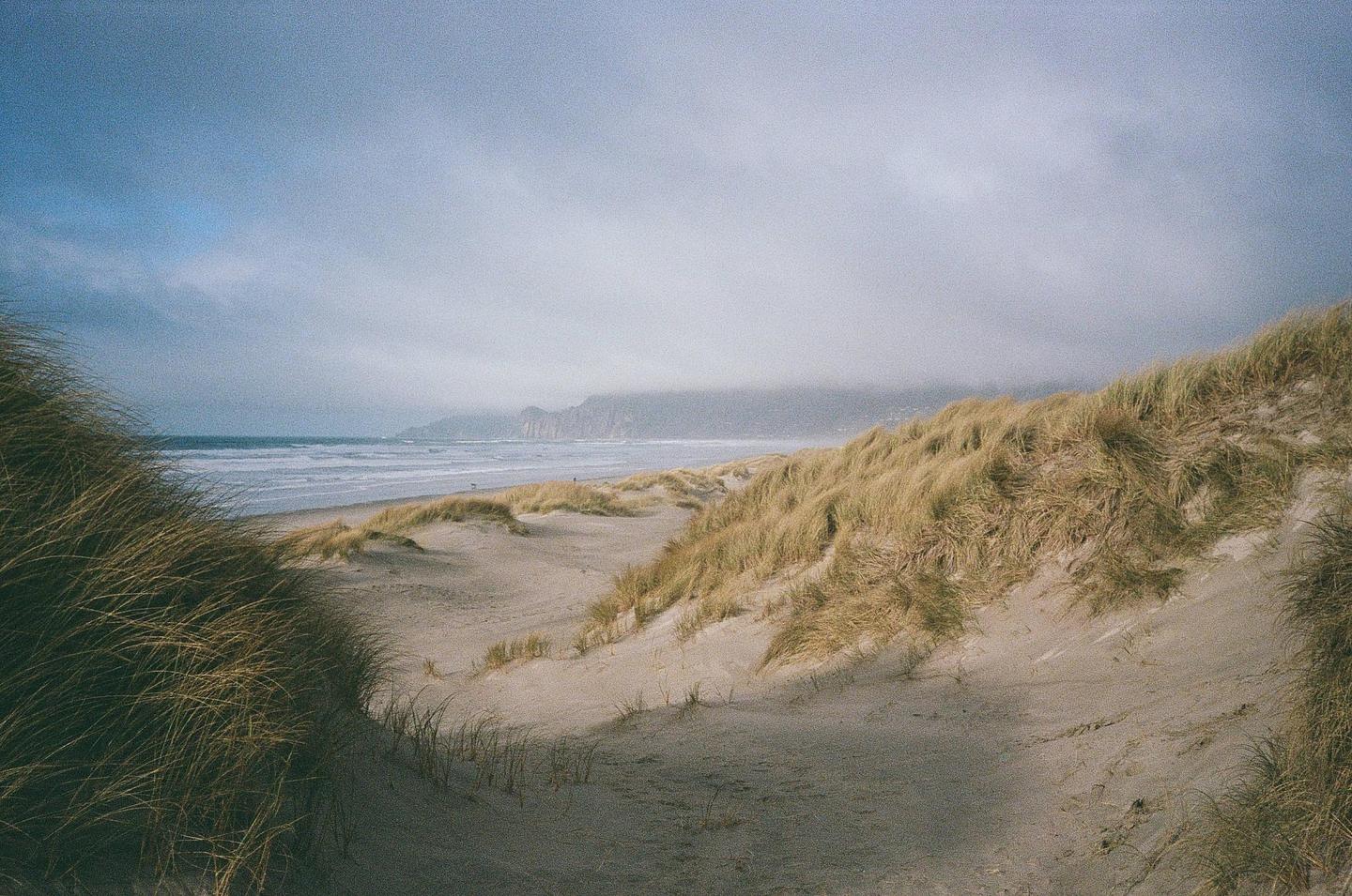 A sandy beach with dunes covered in tall grass stretches towards a distant headland under a cloudy sky.