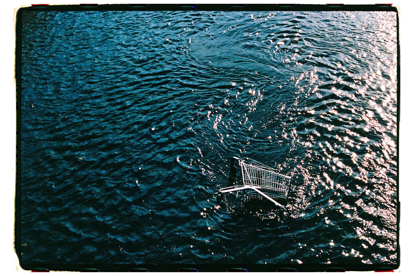 A shopping cart floats in dark blue water with sunlight reflecting on the surface.