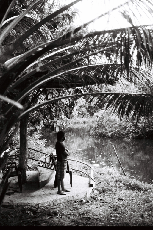 A man stands on a concrete platform next to a body of water, framed by palm fronds.
