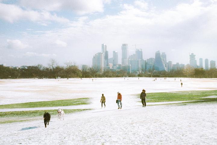 A snow-covered field with patches of green grass has people and dogs walking across it, with a city skyline in the background.