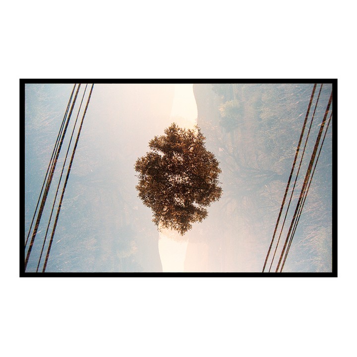 A double exposure shows a tree in the center with power lines on either side.